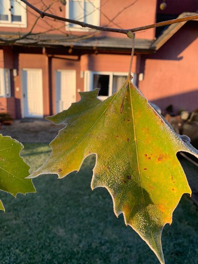 Sua Casa Em Canela Zewnętrze zdjęcie